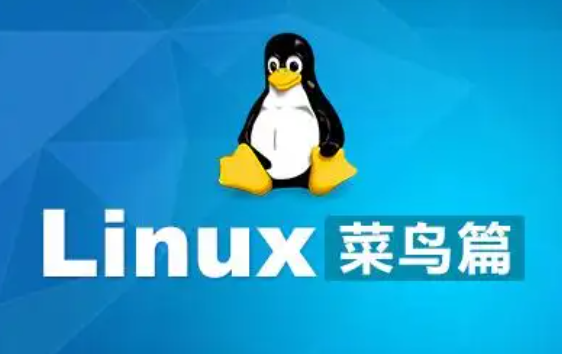linux菜鸟教程怎么样，linux常用命令大全新手入门